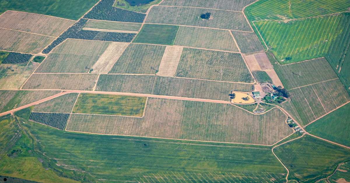 Home 6 How NRIs Can Handle Property Disputes in India from Abroad