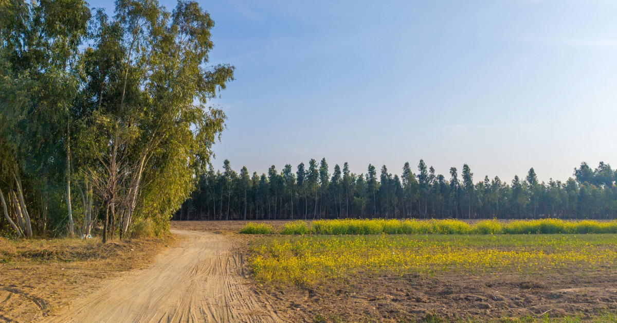 NRI Property Disputes in Punjab – Legal Guidance & Strategic Solutions (2026)